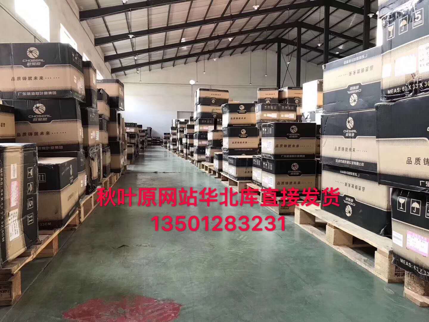 秋叶原网线.jpg