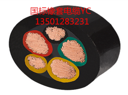 保检测·橡套线.png